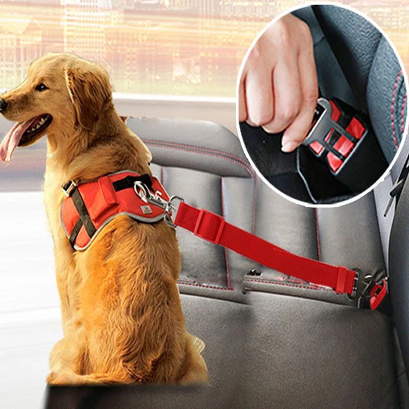 Cuerda de tracción telescópica para cinturón de seguridad de automóvil para mascotas